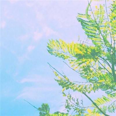 侍灵百鬼浮世绘手游