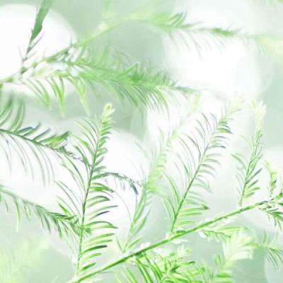 屠杀者2监狱突袭手游下载
